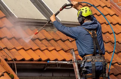 Démoussage et hydrofuge de toiture à Cornant